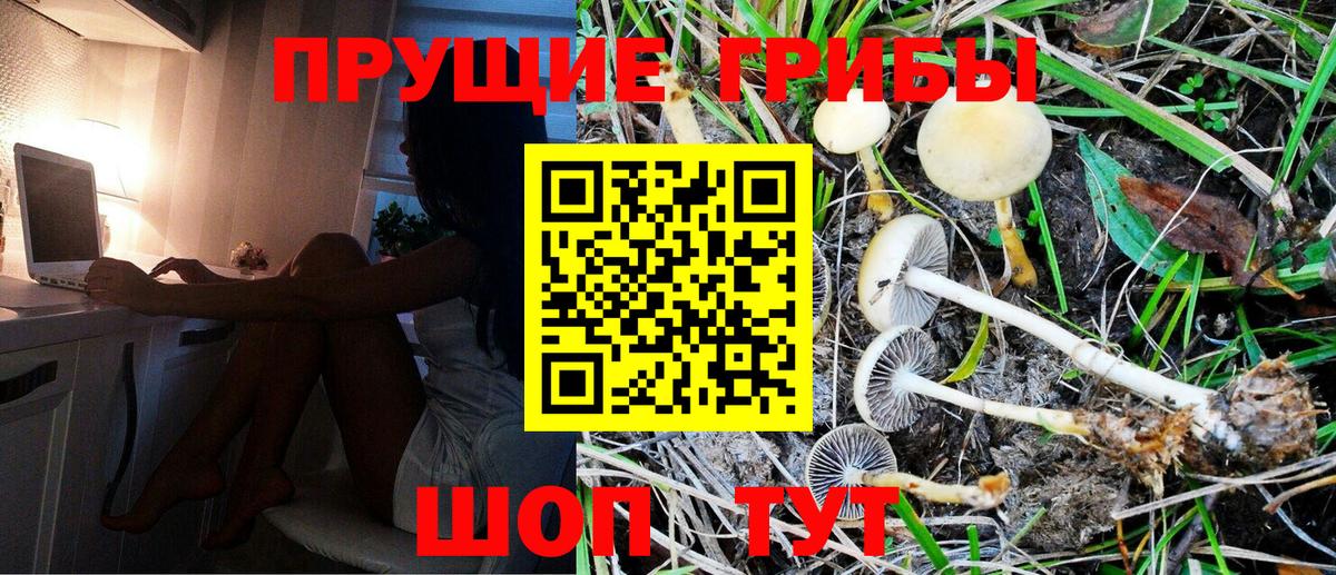 Галлюциногенные грибы Psilocybe  Псилоцибиновые грибы мицелий  купить наркотик  Вход с VPN  Александров 