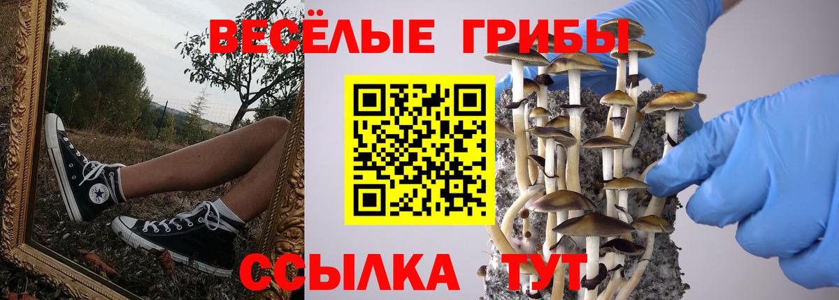 Псилоцибиновые грибы Magic Shrooms Александров